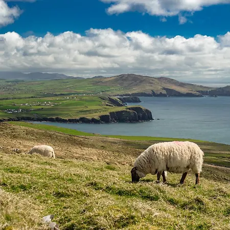 Semesterbostad Farm - Seaside By Trident Homes *